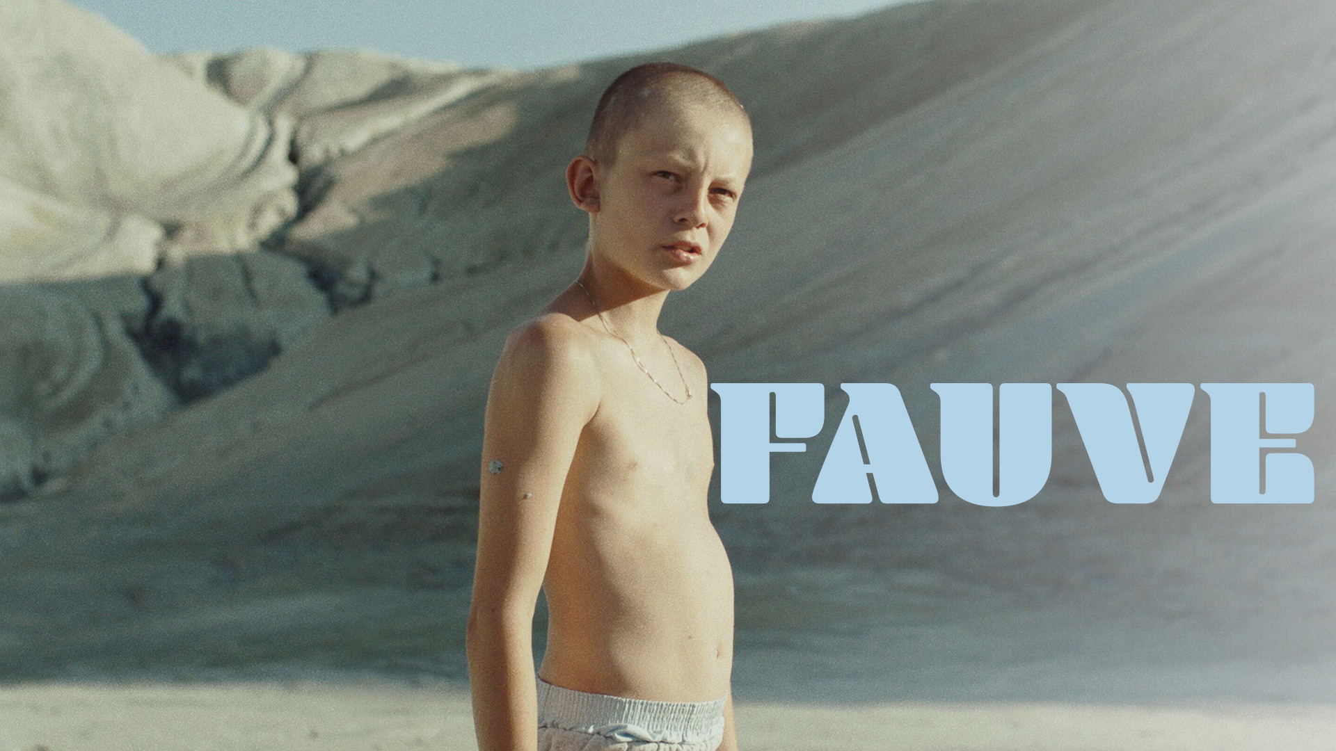 FAUVE