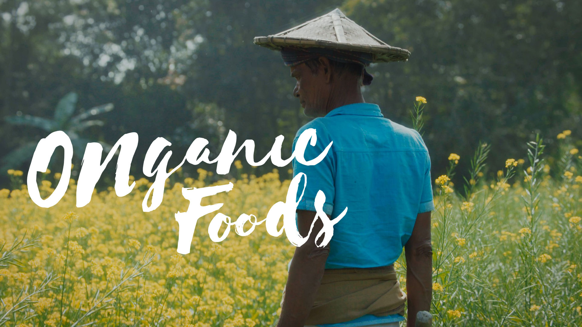 ONGANIC FOODS