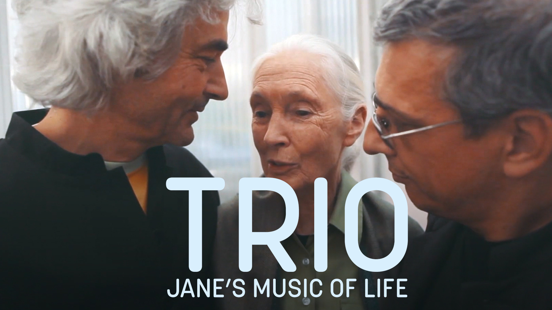 TRIO "JANE'S MUSIC OF LIFE"