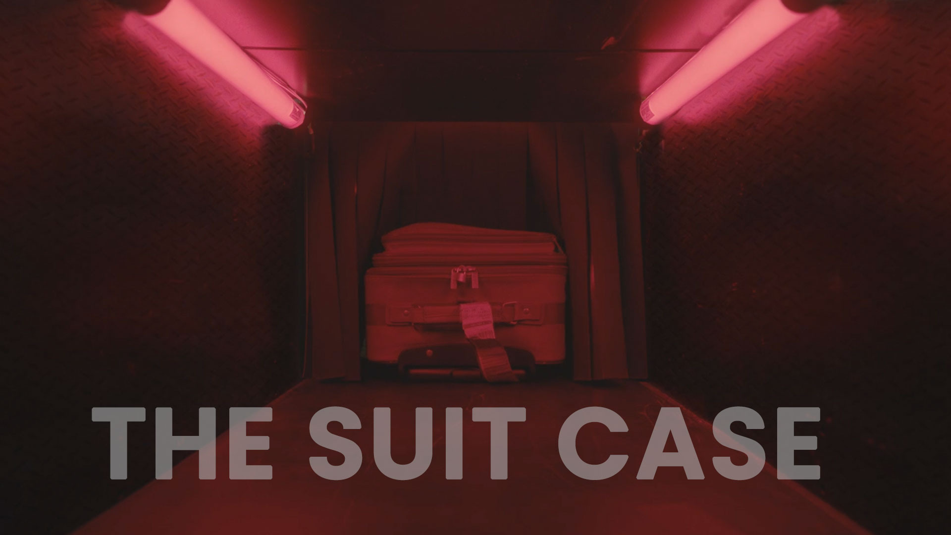 THE SUITCASE