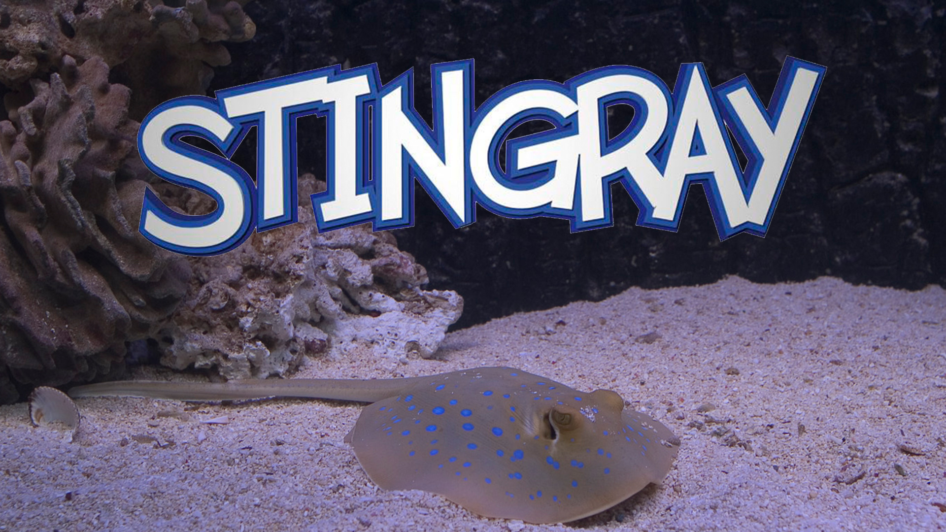 STINGRAY